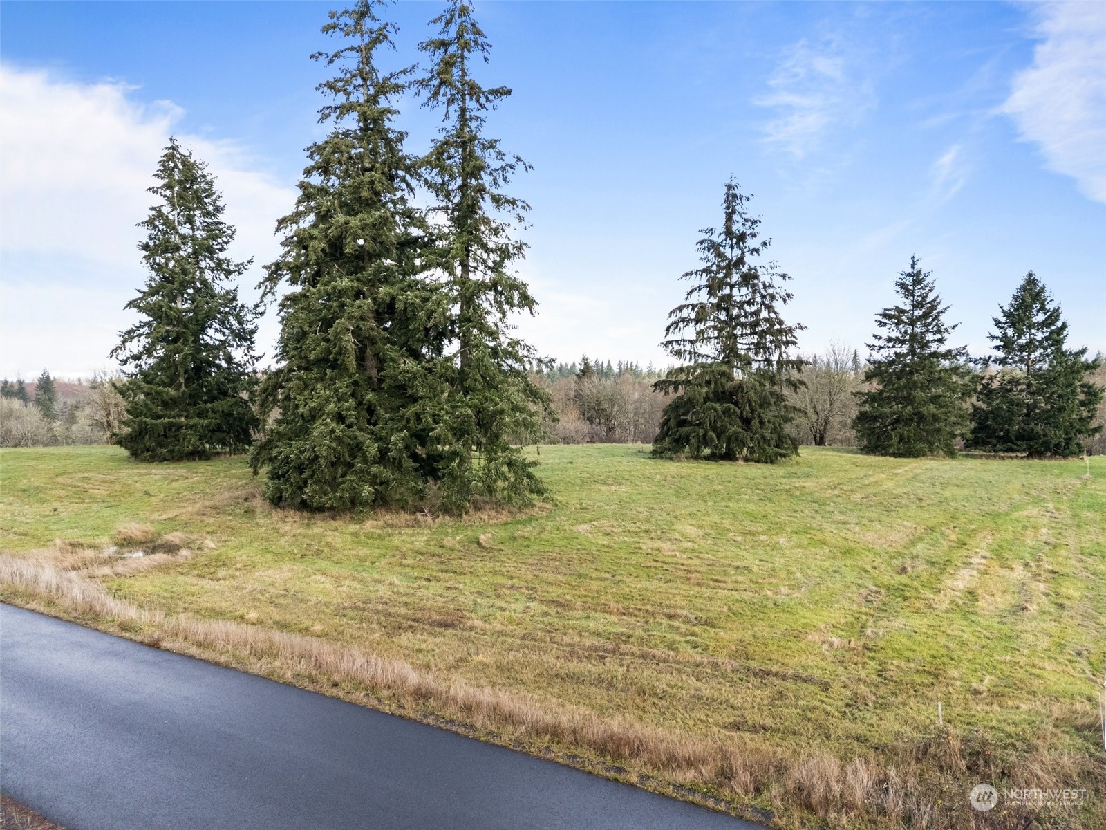 142 Birchfield Commons