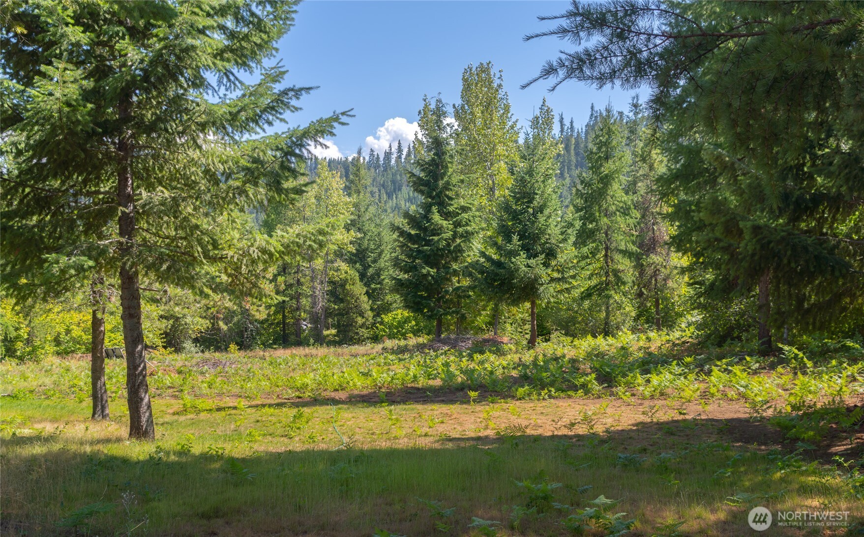 190 Tumble Creek Drive