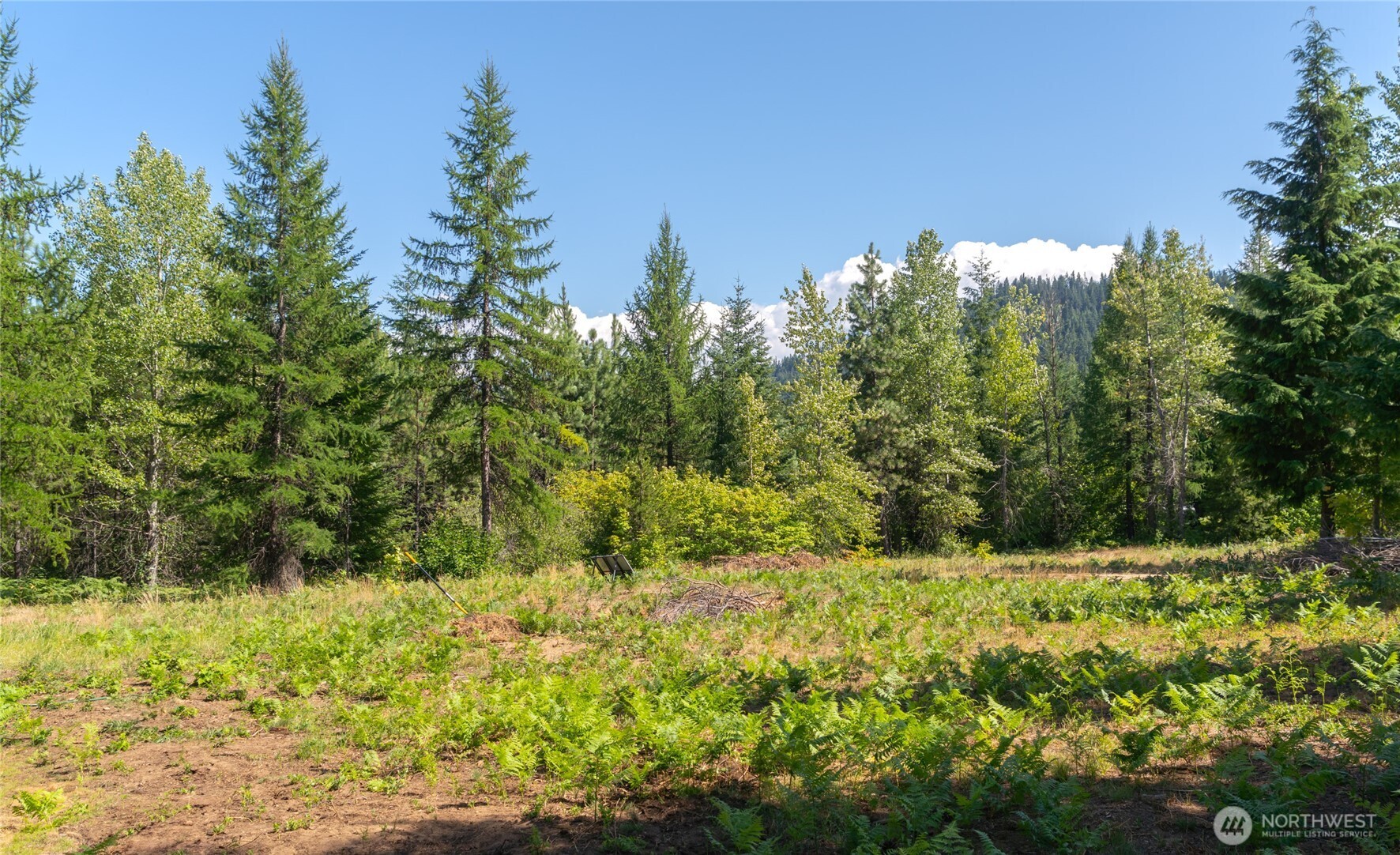 190 Tumble Creek Drive