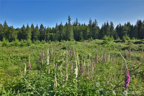 Photo of 2062 Goodell Road, Freeland, WA 98249 (MLS # 2526541)
