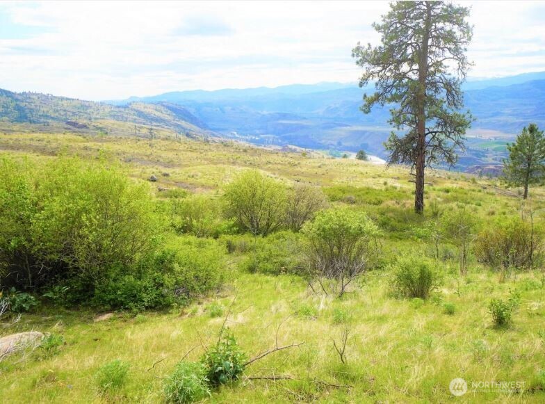 1 Mclaughlin Canyon Road