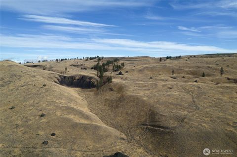 518 Peach Road Mansfield WA 98830