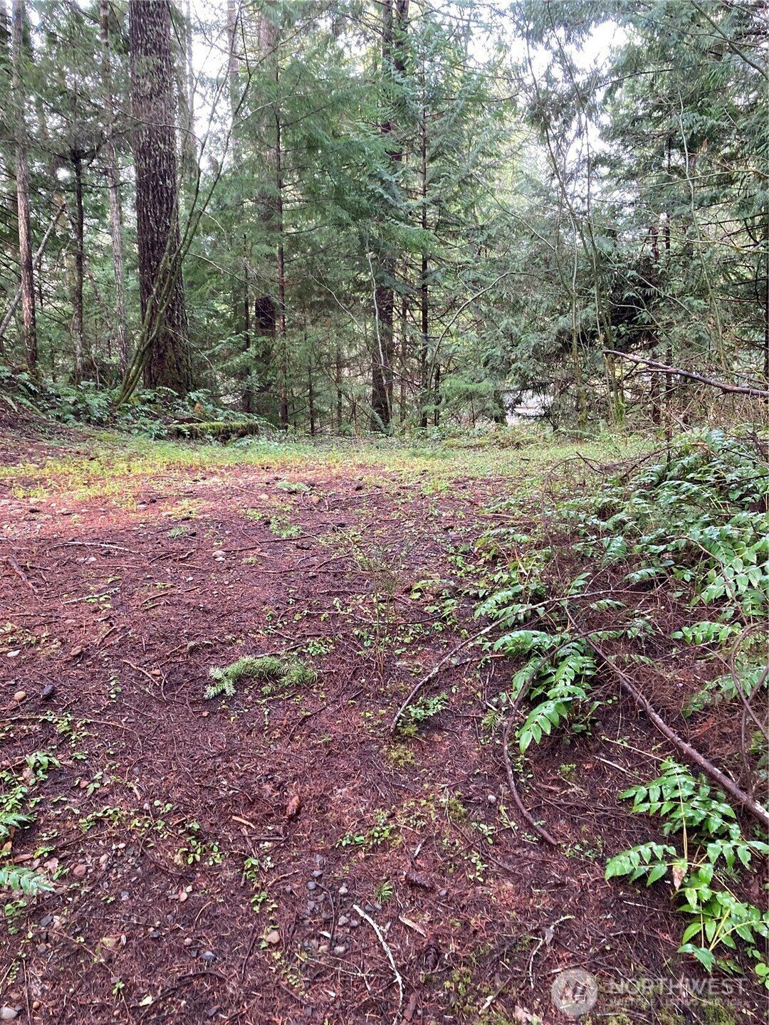 231 N Goldeneye Drive