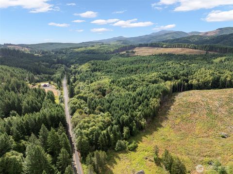 0 Pe Ell McDonald Road Pe Ell WA 98572