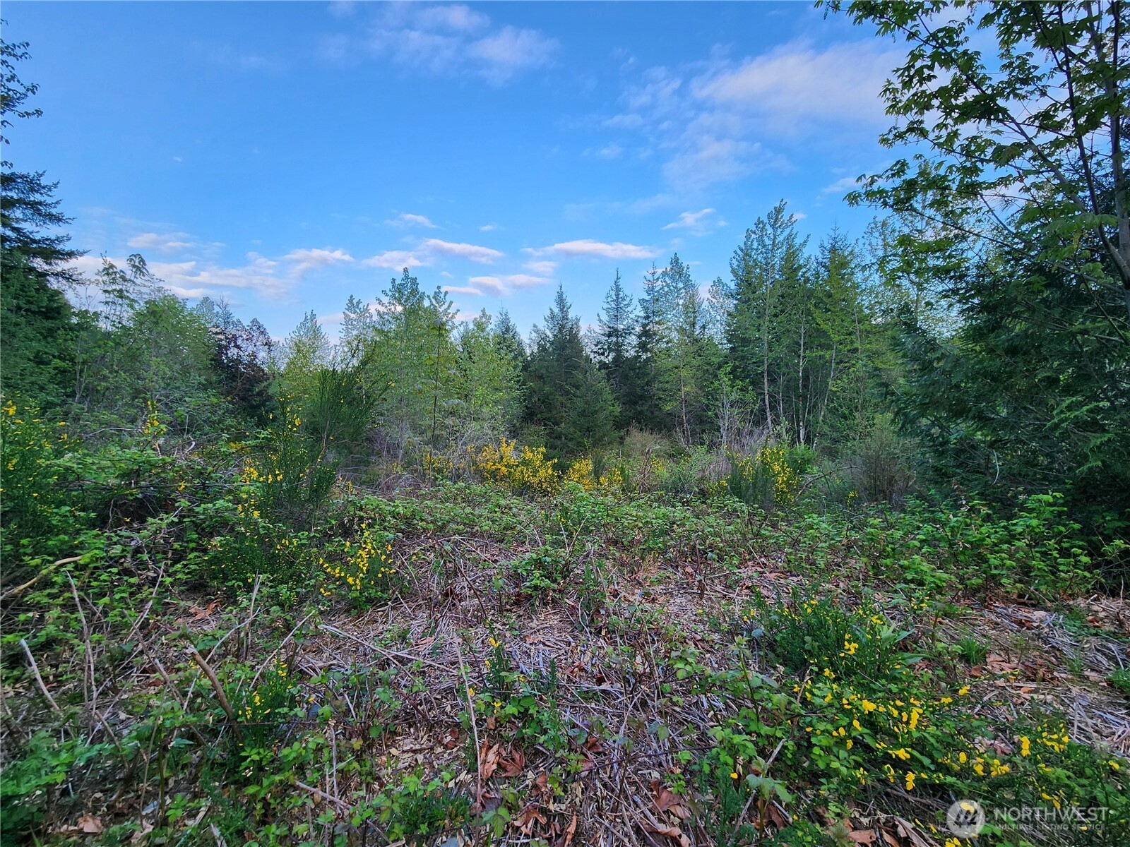 992 Sunrise Road
