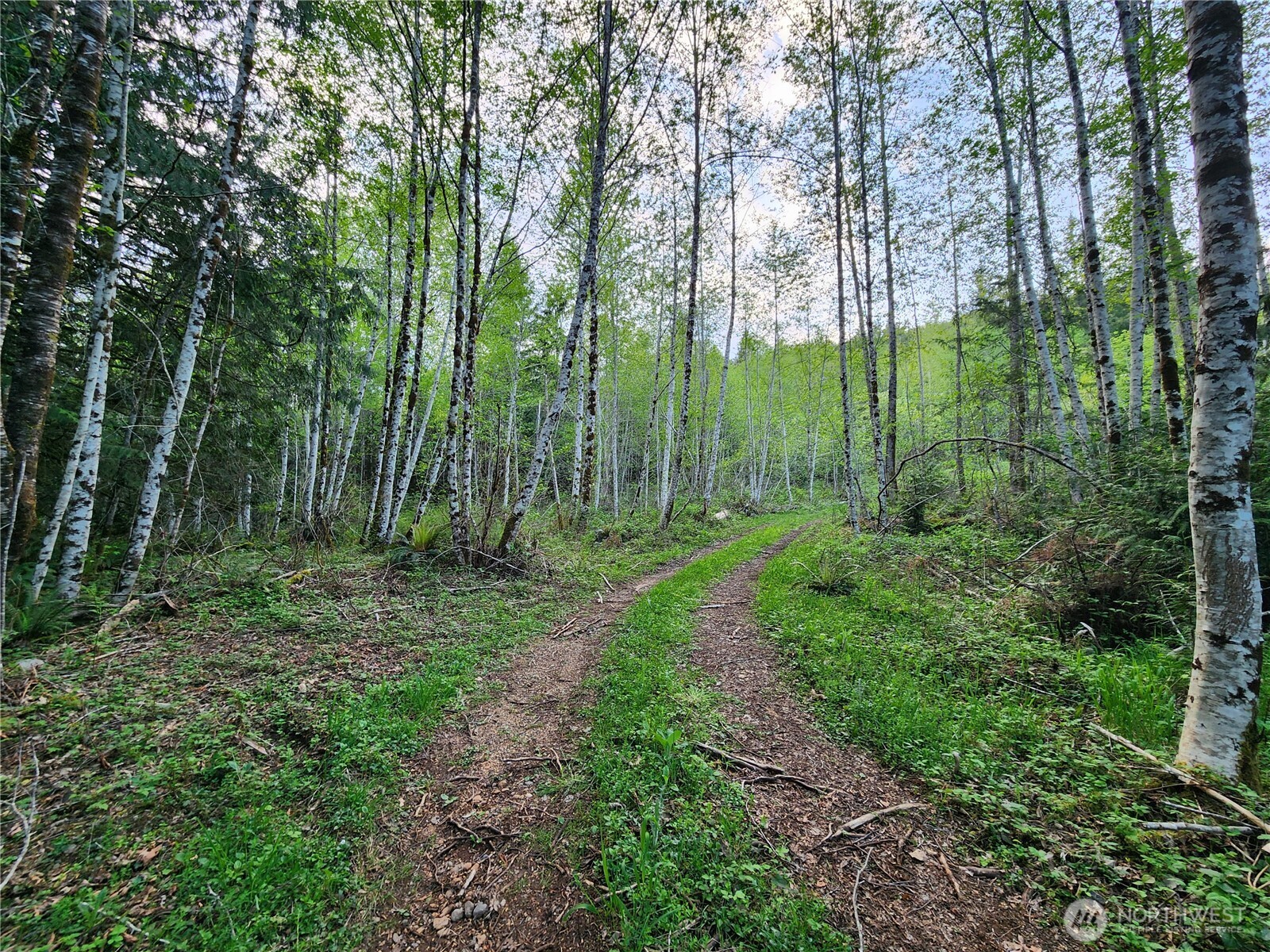 992 Sunrise Road