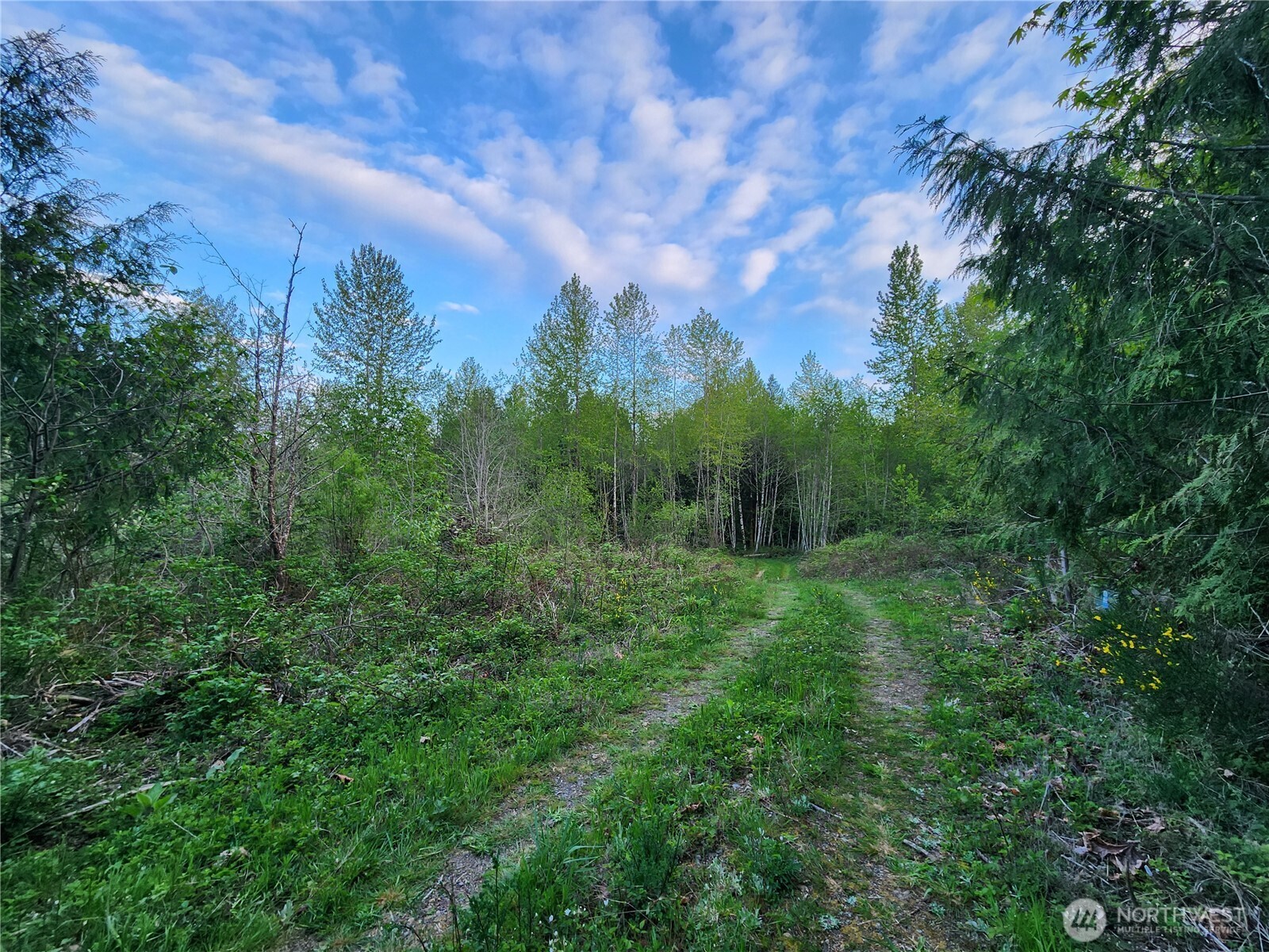 992 Sunrise Road