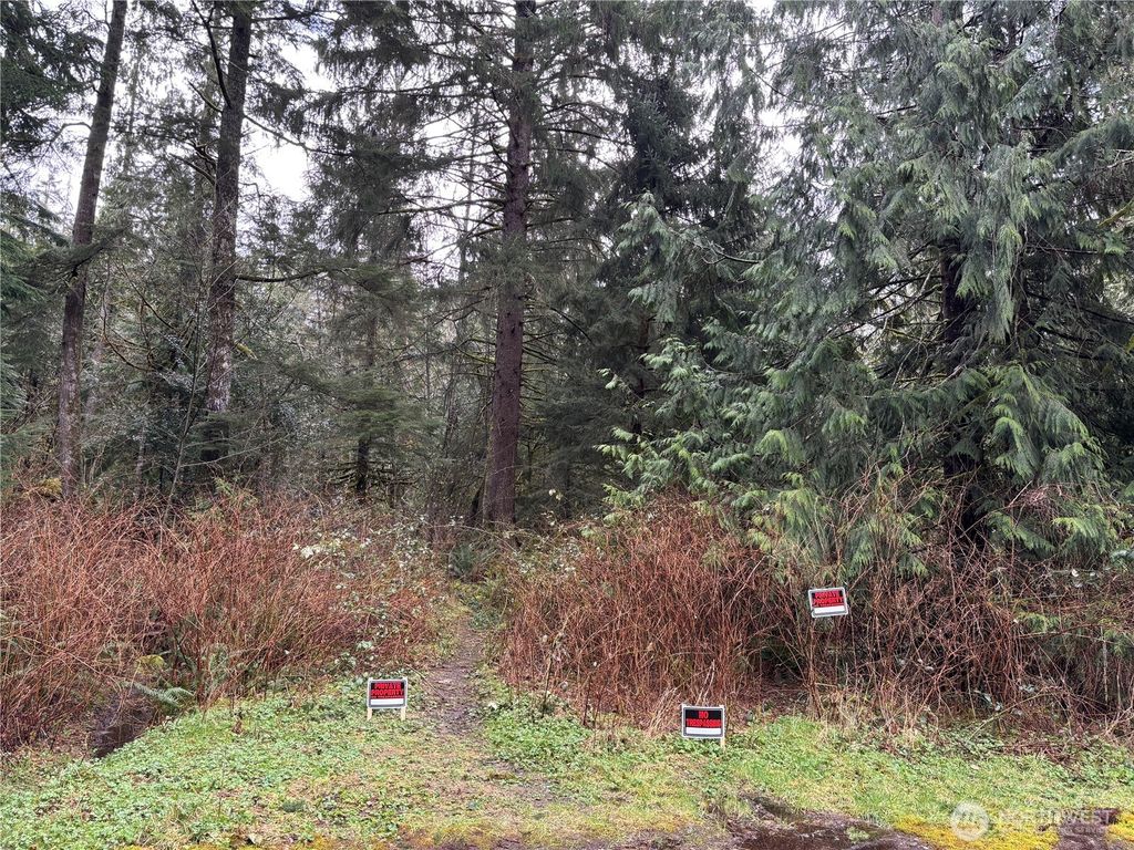 Photo of 0 441st Avenue SE, North Bend, WA 98045 (MLS # 2388069)