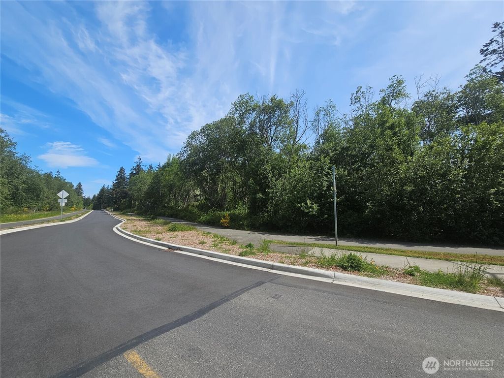 Photo of 99 XX Rainier Street, Port Townsend, WA 98368 (MLS # 2528497)