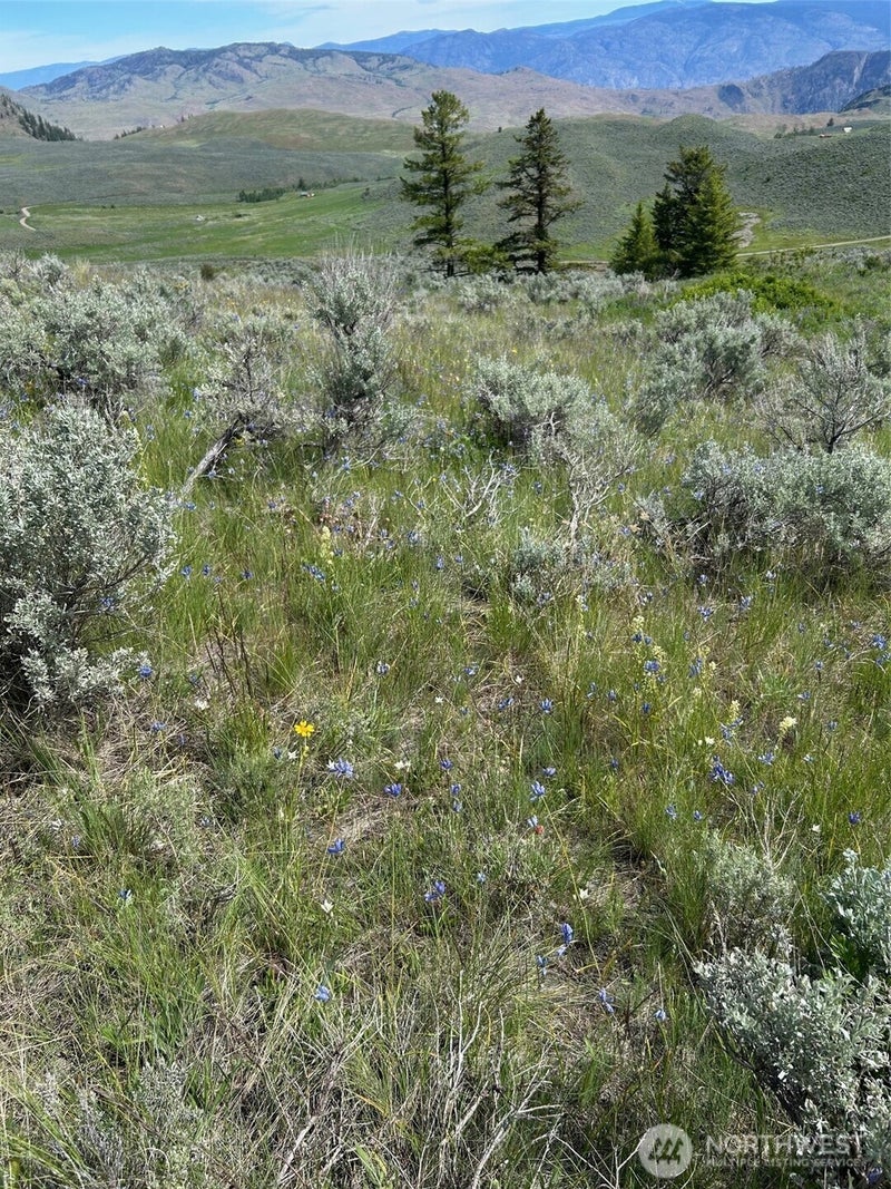 2 TBD Ellemeham Mountain Road