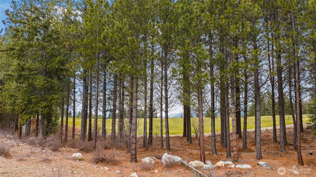 Photo of 191 White Star Lane, Cle Elum, WA 98922 (MLS # 2483288)