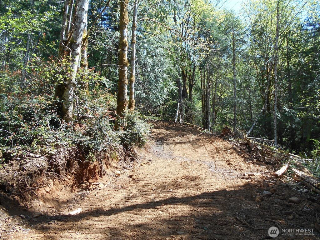 Photo of 0 Dragonfly Place, Brinnon, WA 98320 (MLS # 2506436)