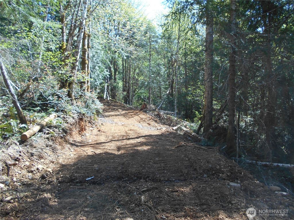 Photo of 0 Dragonfly Place, Brinnon, WA 98320 (MLS # 2506436)