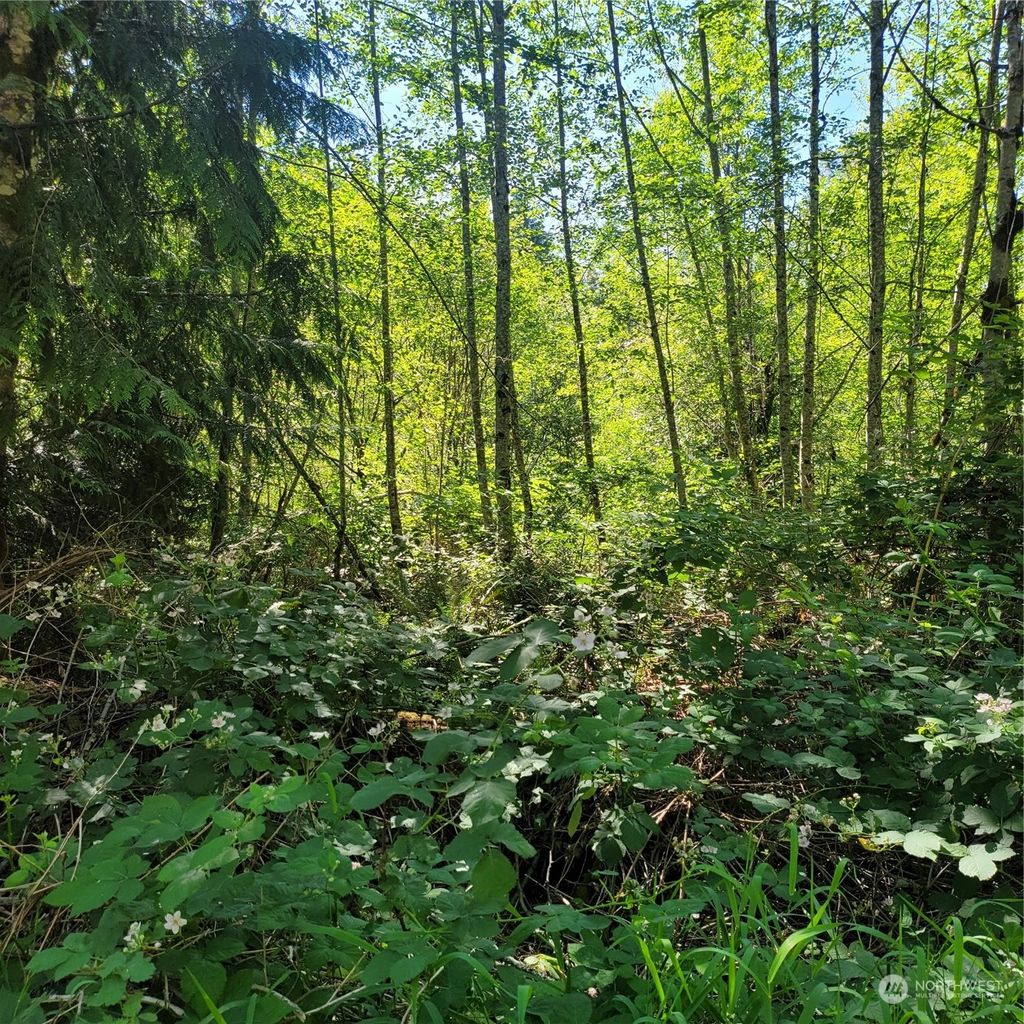 Photo of 14701 NE 223rd Avenue, Woodinville, WA 98077 (MLS # 2137515)