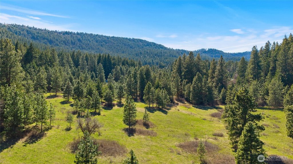 Photo of 0 XXX Thornton Creek Lane, Cle Elum, WA 98922 (MLS # 2509798)