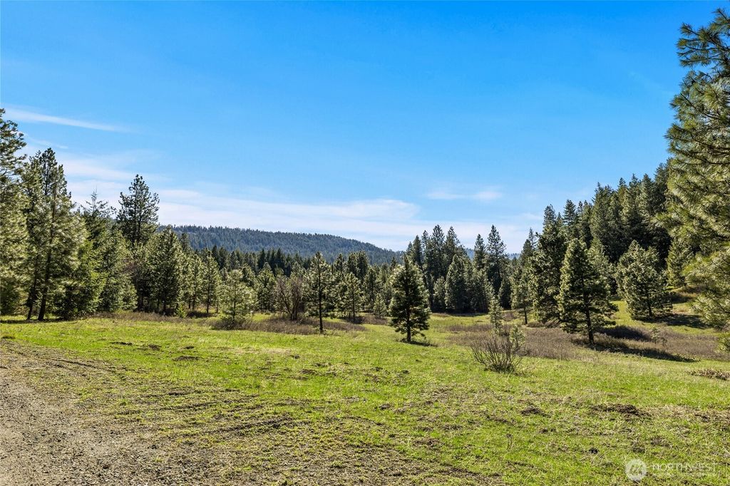 Photo of 0 XXX Thornton Creek Lane, Cle Elum, WA 98922 (MLS # 2509798)