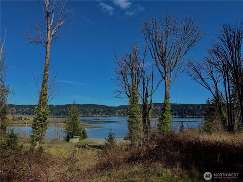 Photo of 1080 Linger Longer Road, Quilcene, WA 98376 (MLS # 2501939)