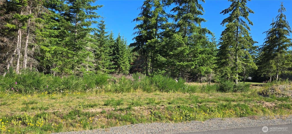 Photo of 6600 Shadow Creek Lane NE, Olympia, WA 98516 (MLS # 2567767)