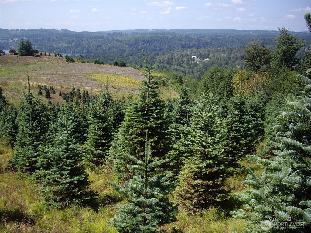 Photo of 2 Birley Rd, Mossyrock, WA 98564 (MLS # 2513688)