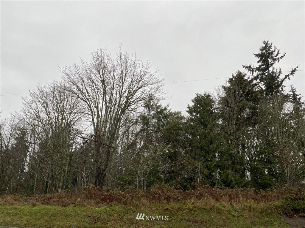 Photo of 304 xx S 304th Street, Federal Way, WA 98003 (MLS # 1710356)