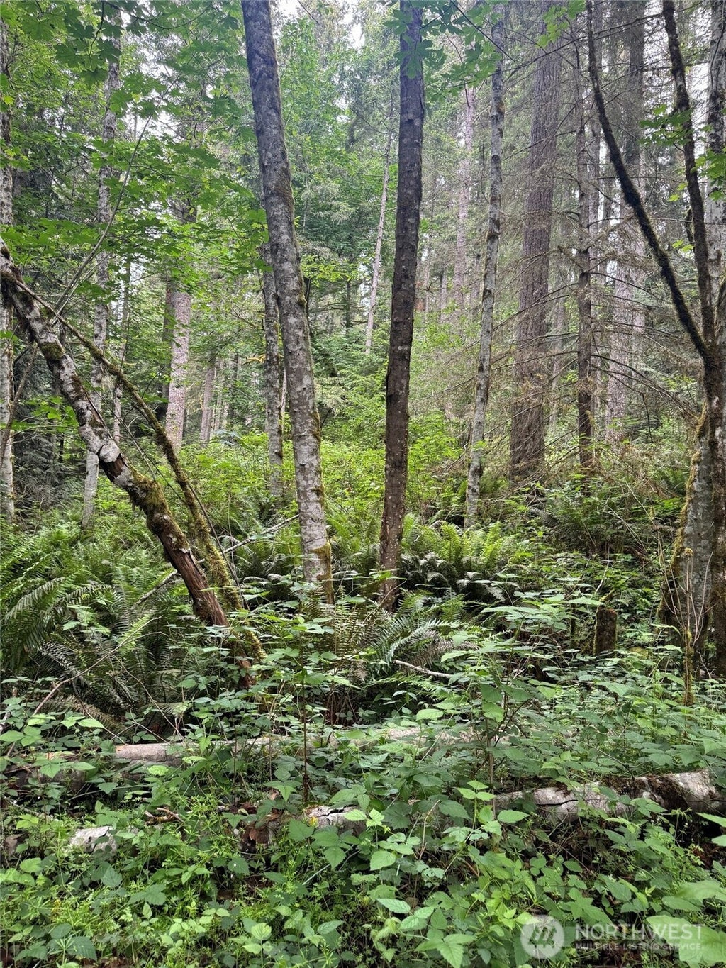 Photo of 0 XX Widme Road NE, Poulsbo, WA 98370 (MLS # 2533916)