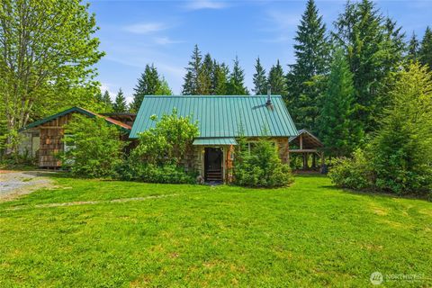 Photo of 33822 State Route 706 E, Ashford, WA 98304 (MLS # 2520691)