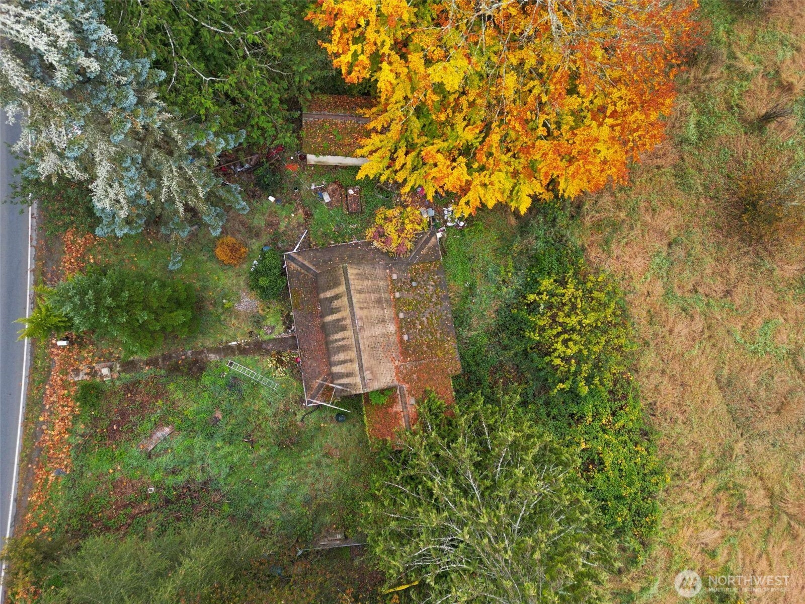 1824 Sunnyside Boulevard