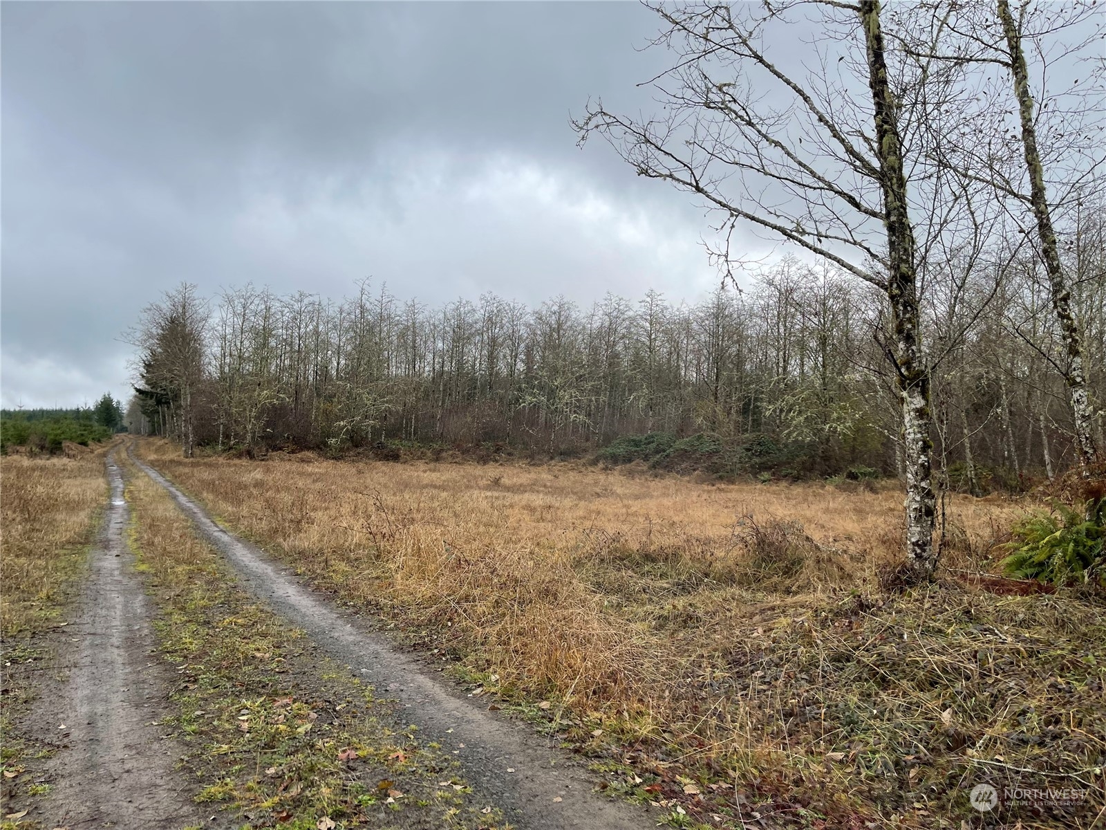 1 Oppelt Road