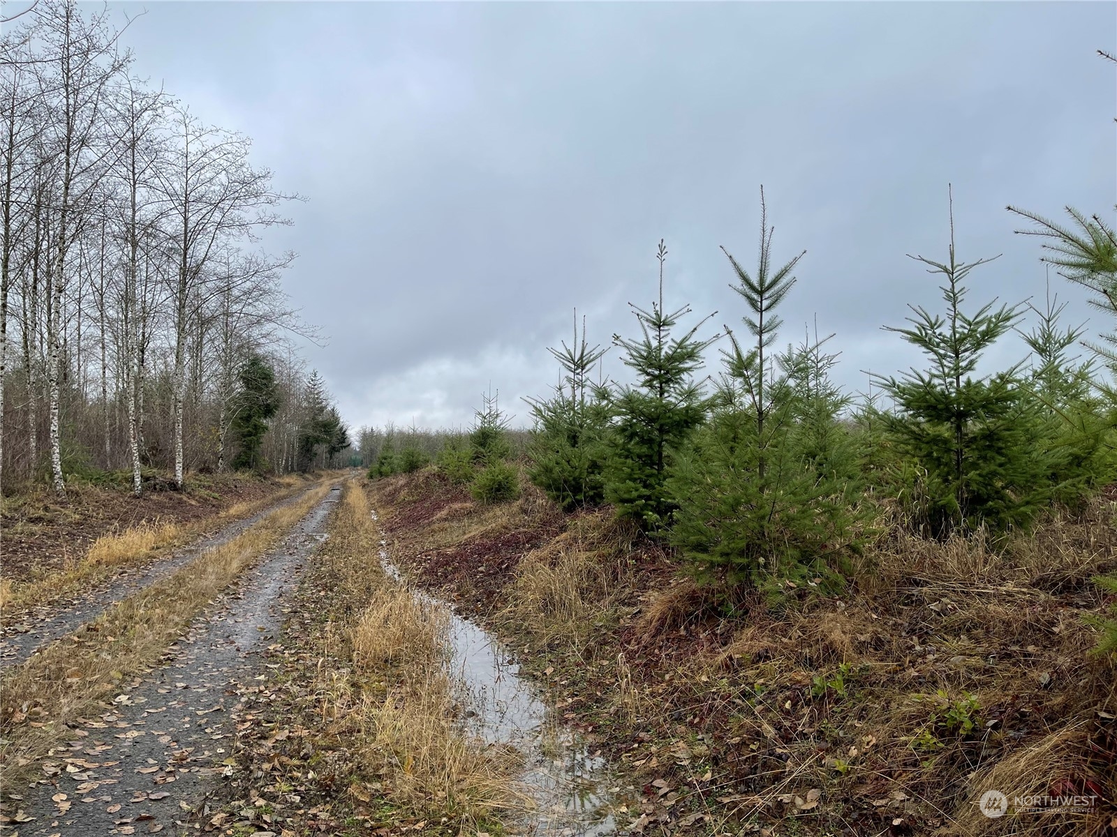 1 Oppelt Road