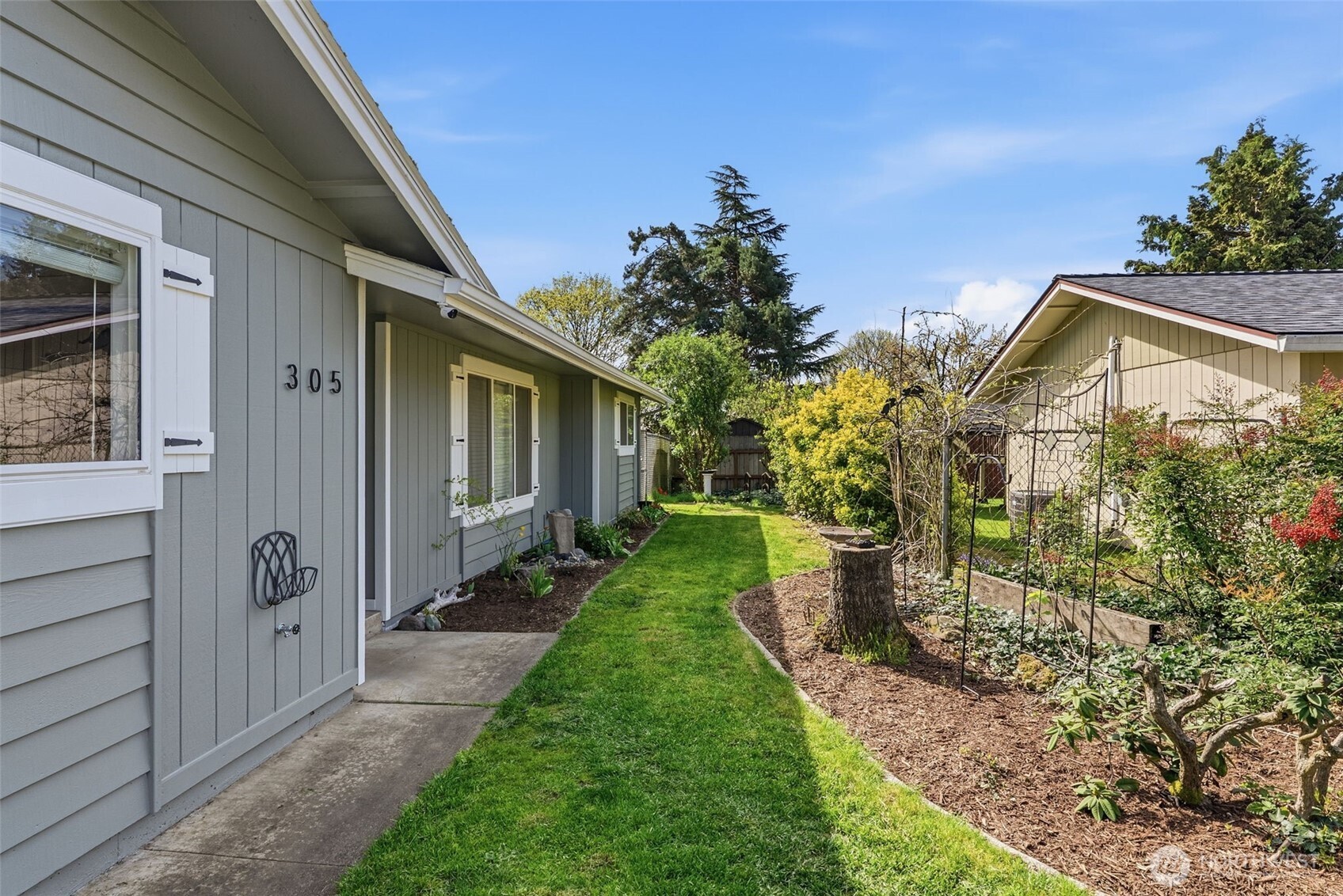 305 Hollyberry Street