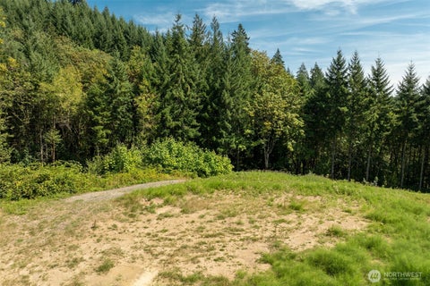 Photo of 239 Junco Lane, Woodland, WA 98674 (MLS # 2574054)