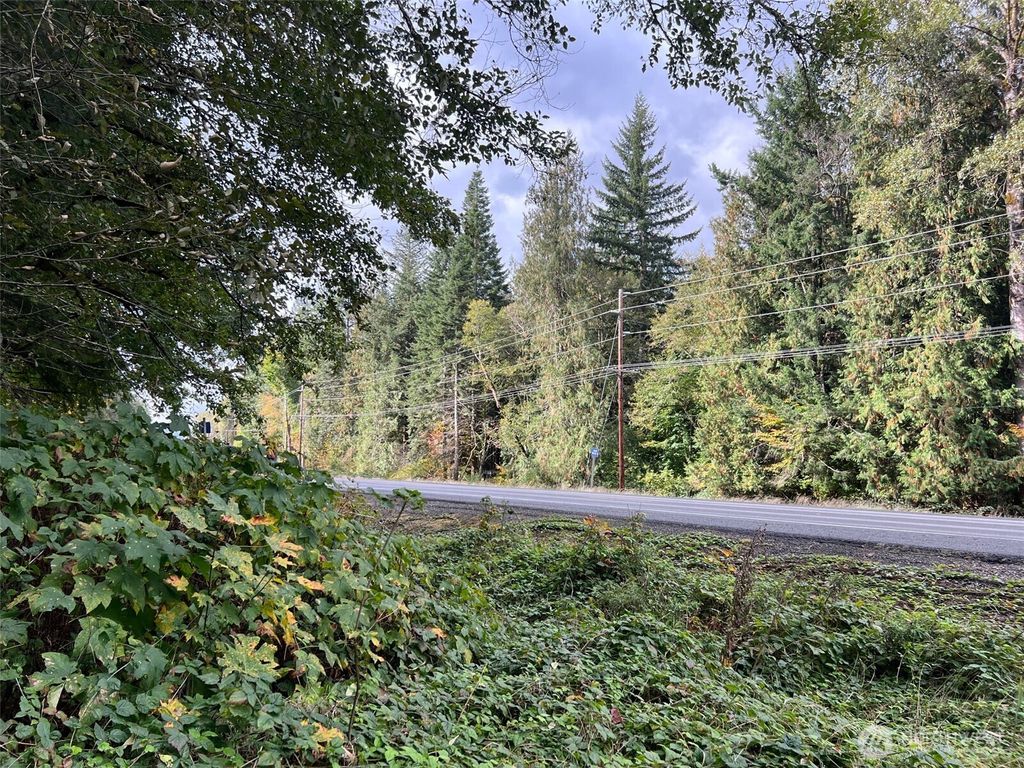 Photo of 0 US Hwy 12, White Pass, WA 98377 (MLS # 2466963)