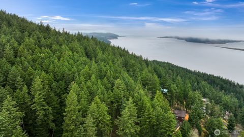 Photo of 3071 Hales Passage Drive, Lummi Island, WA 98262 (MLS # 2490415)