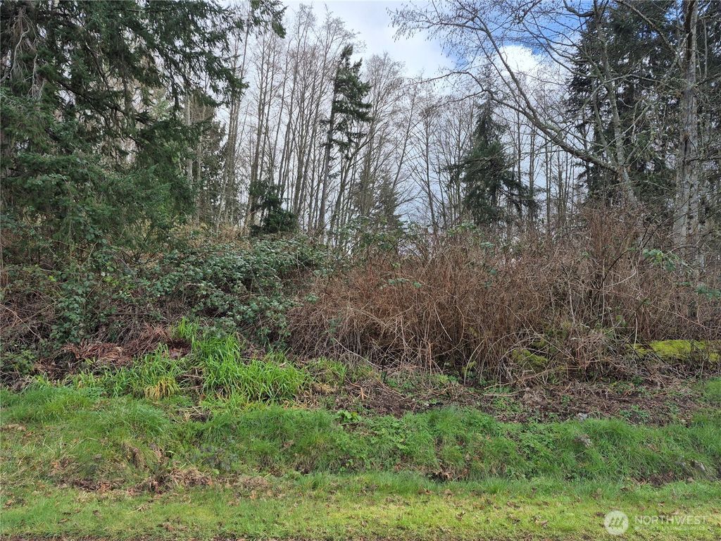 Photo of 38766 Tinker Place NE, Hansville, WA 98340 (MLS # 2482894)