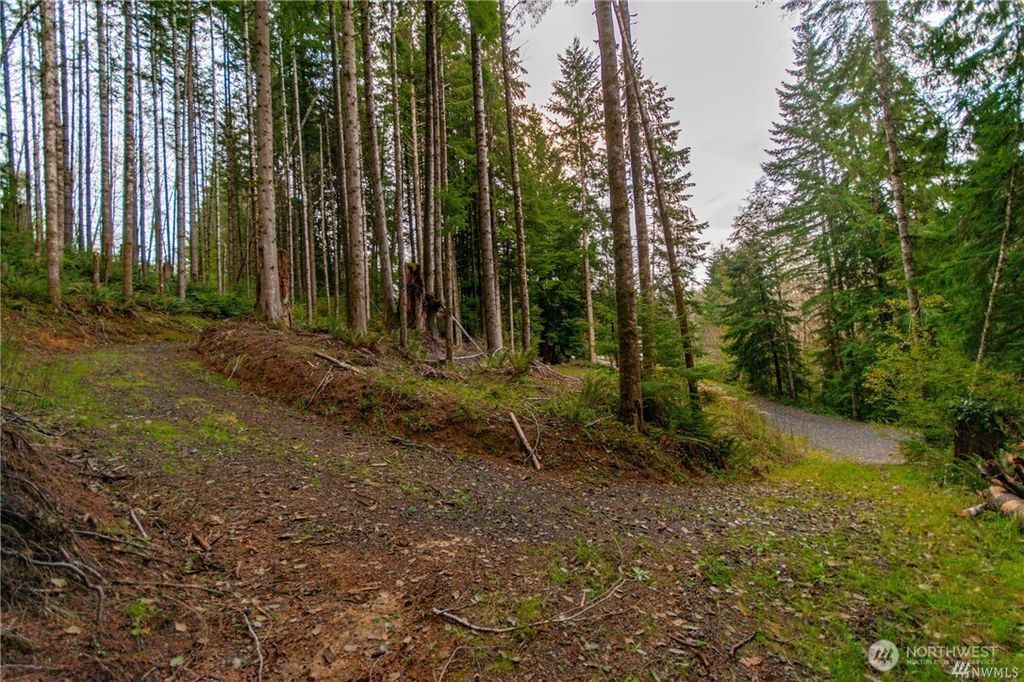 Photo of 1 Lot Bison Run, Longview, WA 98632 (MLS # 2463086)
