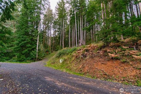 1 Lot Bison Run Longview WA 98632