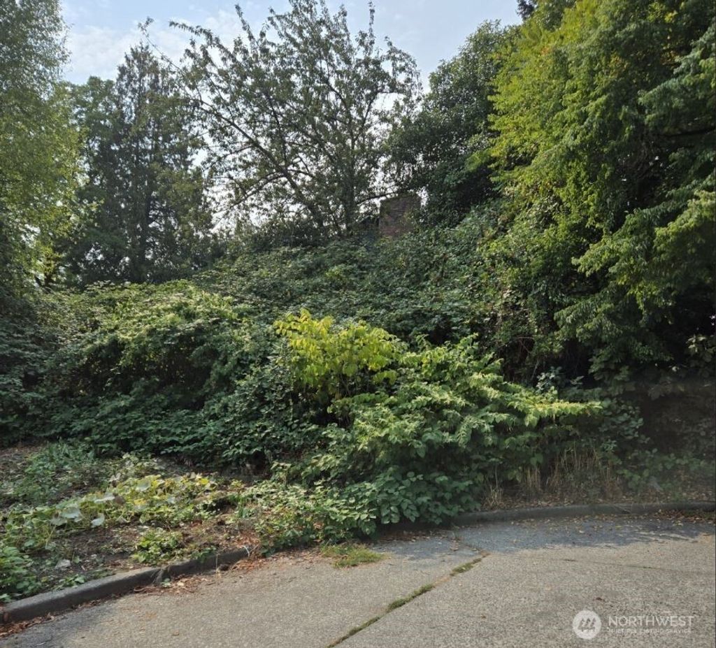 Photo of 4819 S Myrtle Street, Seattle, WA 98118 (MLS # 2430210)