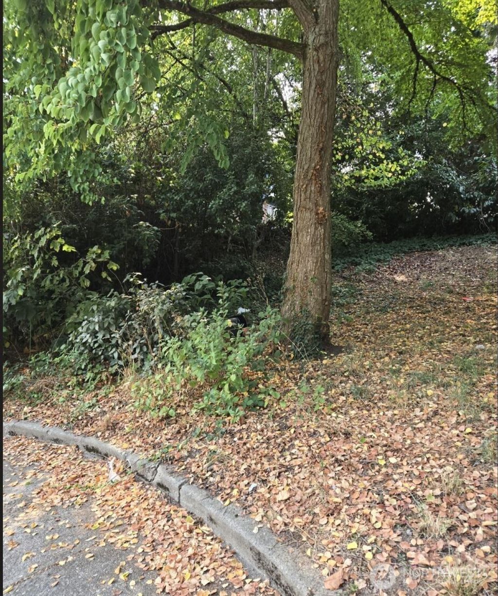 Photo of 4819 S Myrtle Street, Seattle, WA 98118 (MLS # 2430210)