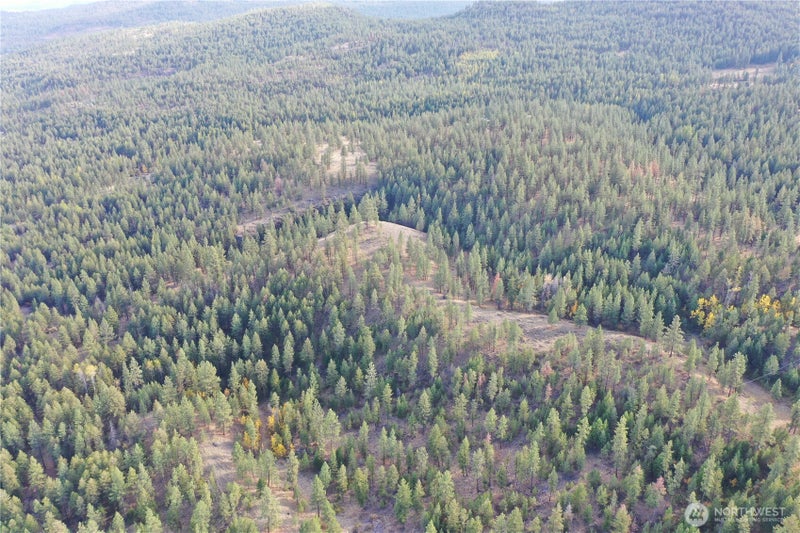 9 Marmot Alley Road