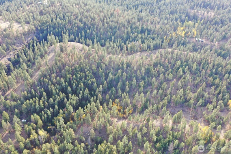 9 Marmot Alley Road
