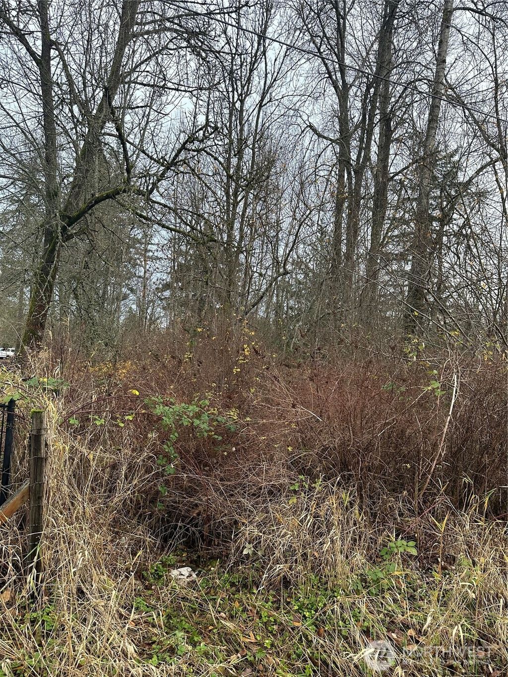 Photo of 12309 40th Avenue E, Tacoma, WA 98446 (MLS # 2460713)