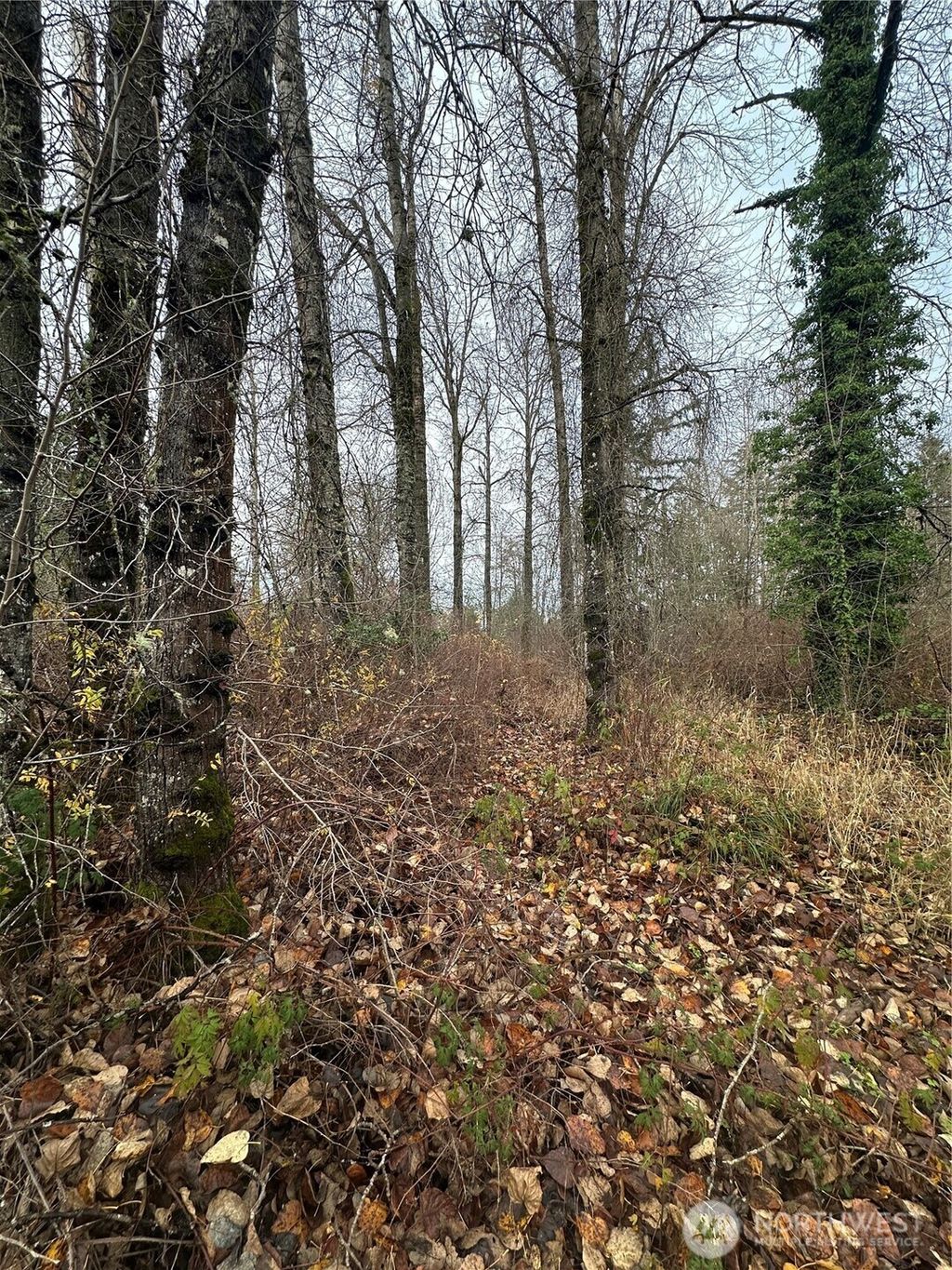 Photo of 12309 40th Avenue E, Tacoma, WA 98446 (MLS # 2460713)