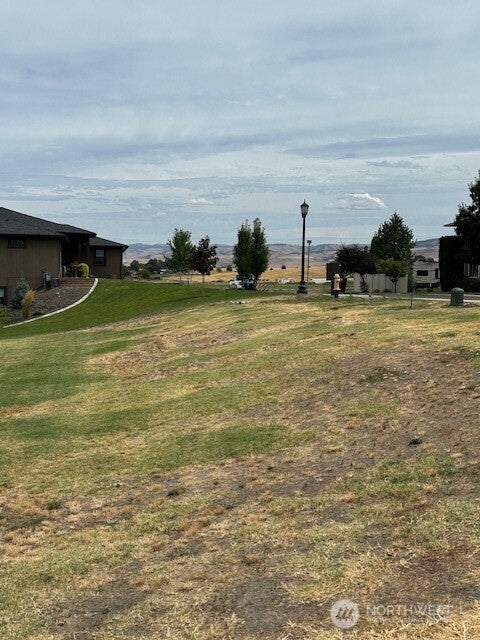 285 Arabica Rd