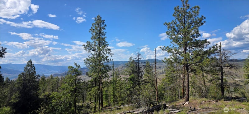 385 Corral