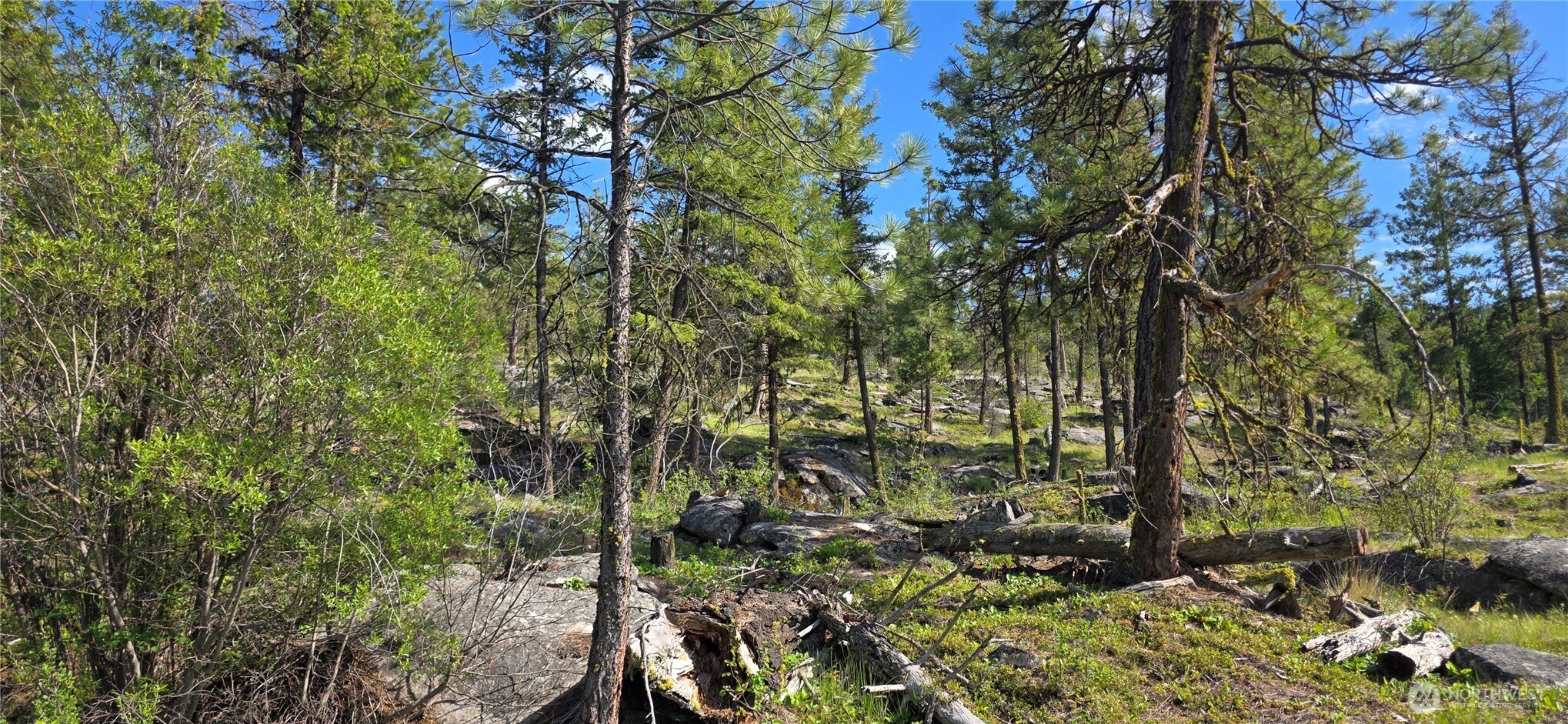 385 Corral
