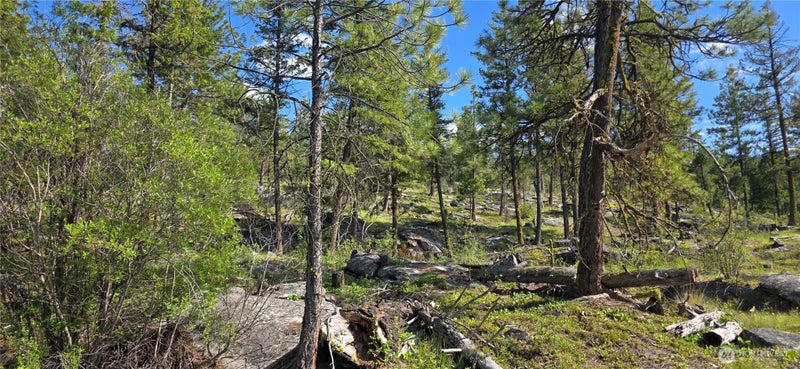 385 Corral