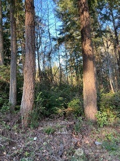 1 Huckleberry Lane