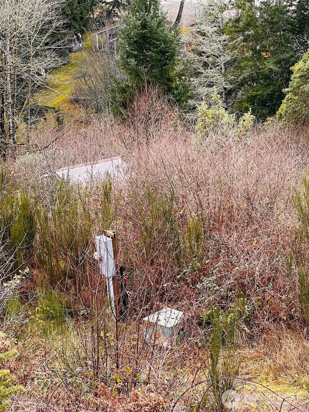 Photo of 3841 E State Route 302, Belfair, WA 98528 (MLS # 2467600)