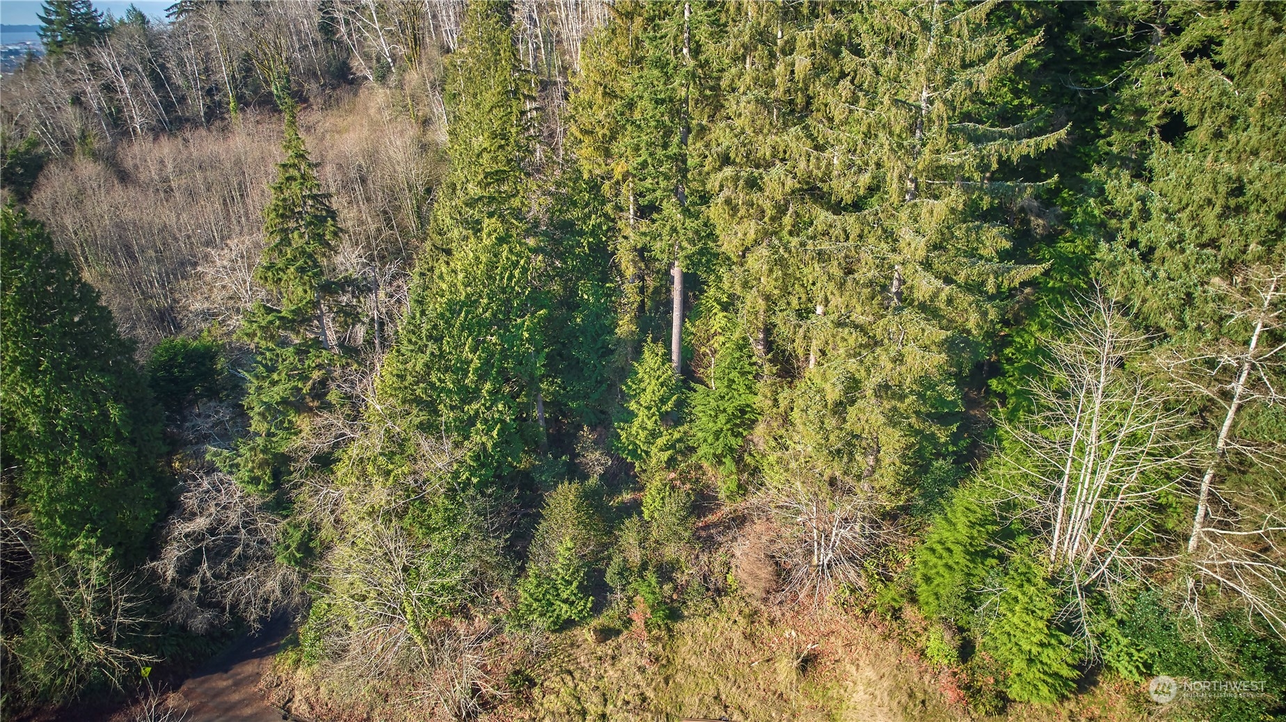 0 Blk 13 Lots 1-2 Pioneer Boulevard