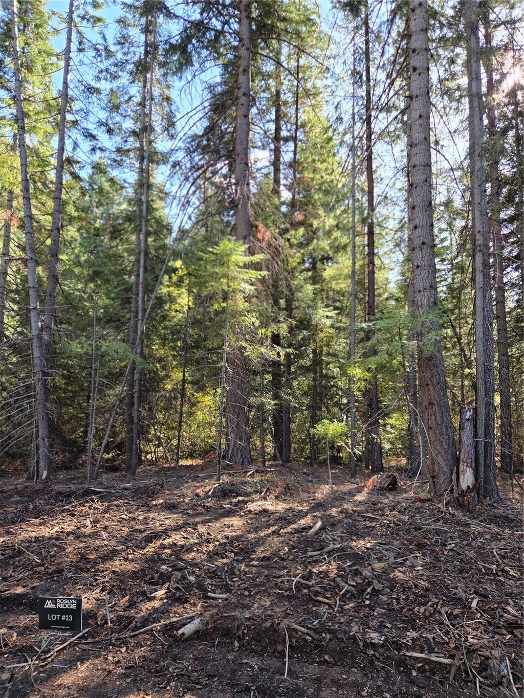 Photo of 13 Rock Cress Lane, Ronald, WA 98940 (MLS # 2595405)